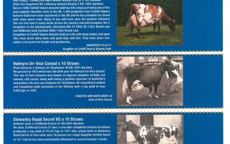 Semen packages for sale