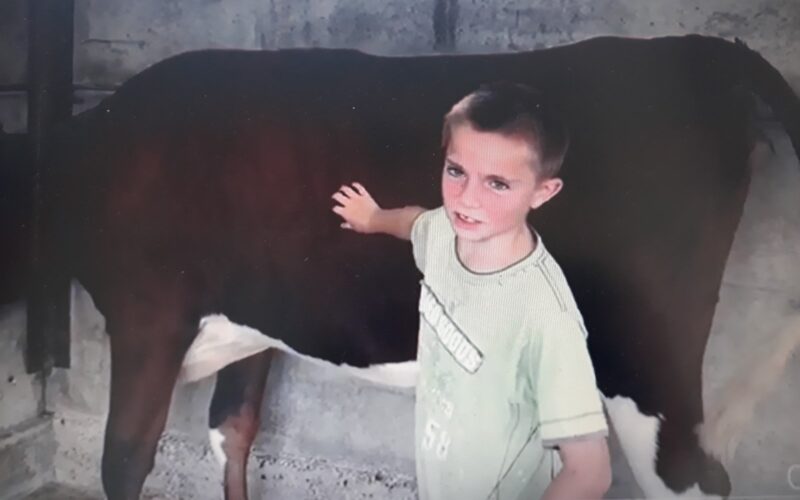 William Honeybun with his calf Butterbesley Lieutenants Violet