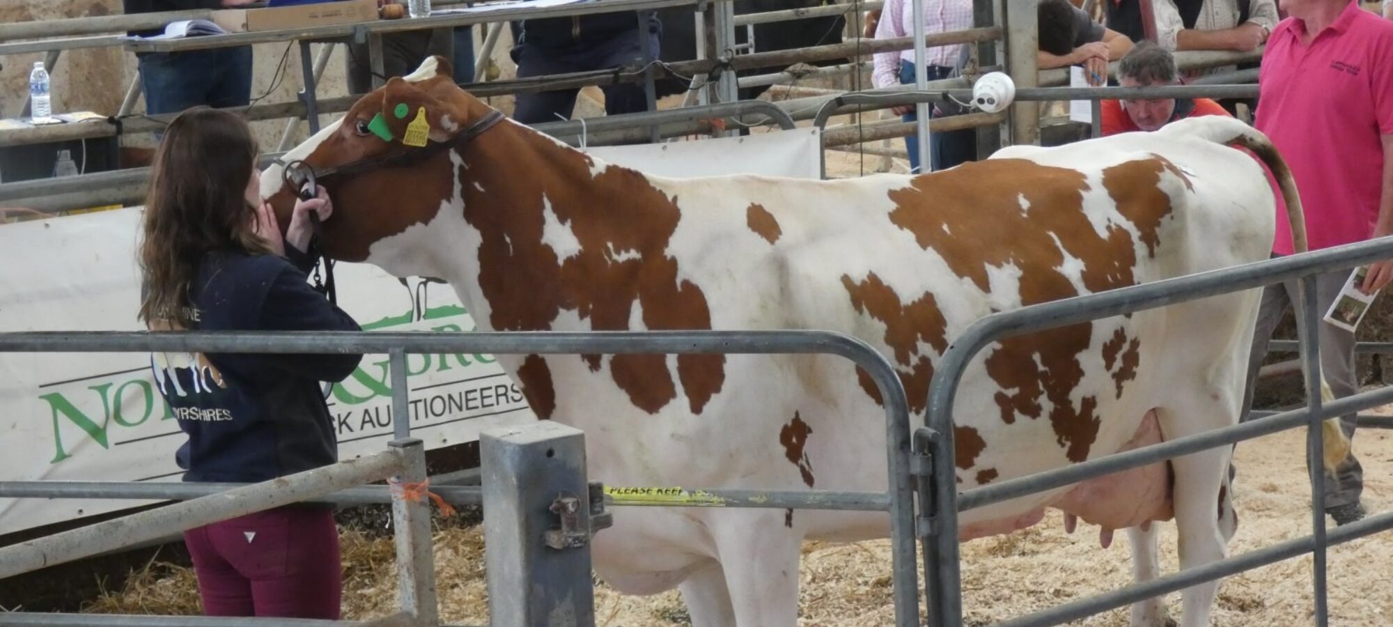 Lot 22