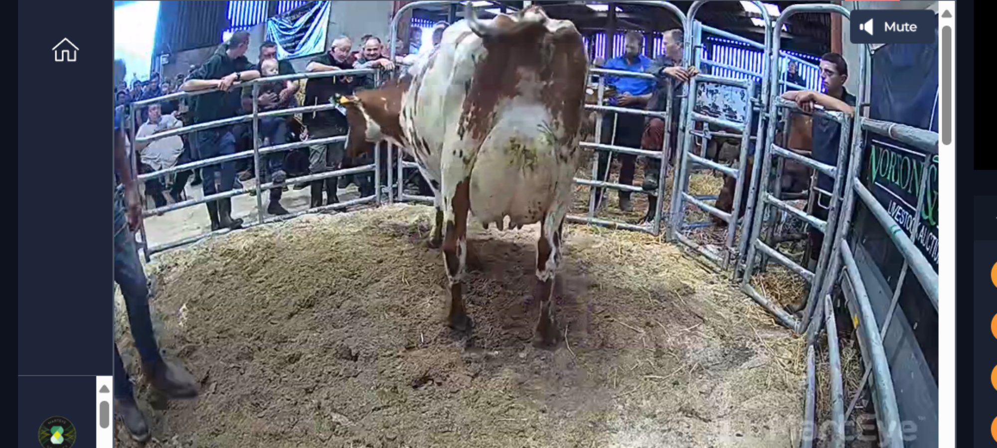 Top price at 5400 gns New Close Linnet 84 EX91