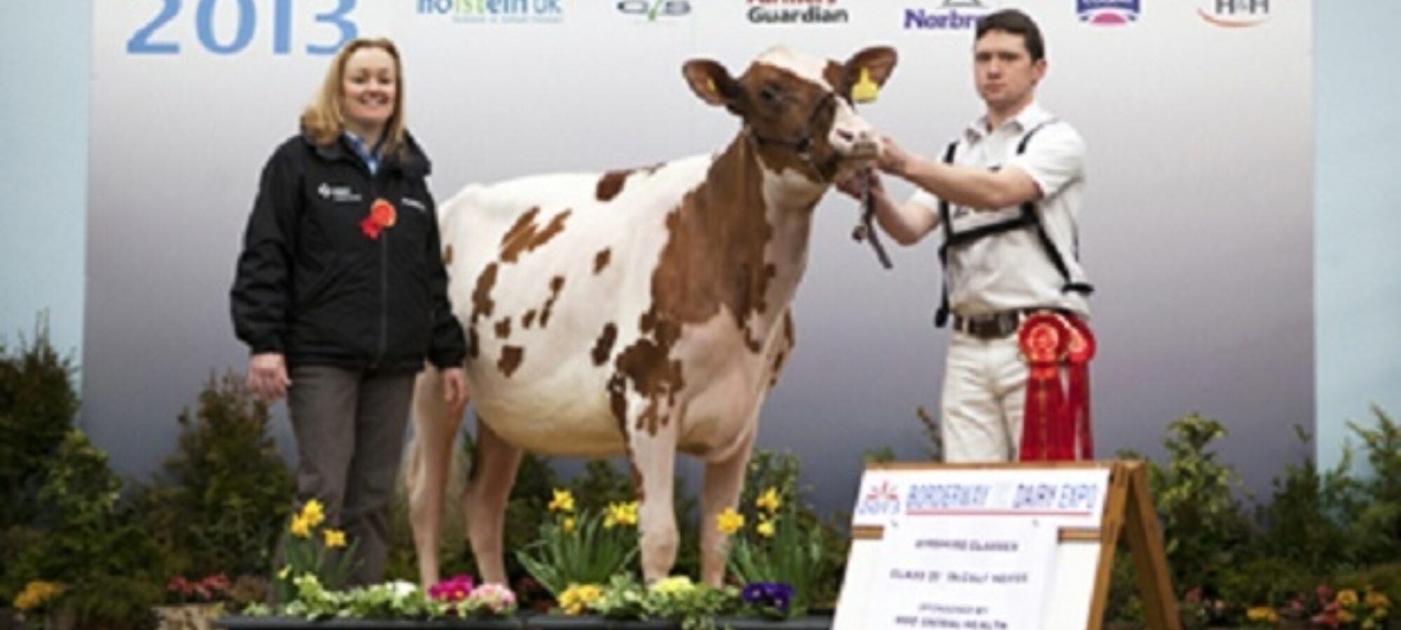 Syke Glencairn Lolita - photo courtesy of Harrison & Hetherington