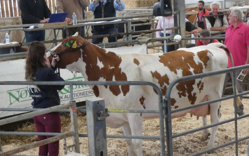 Lot 22