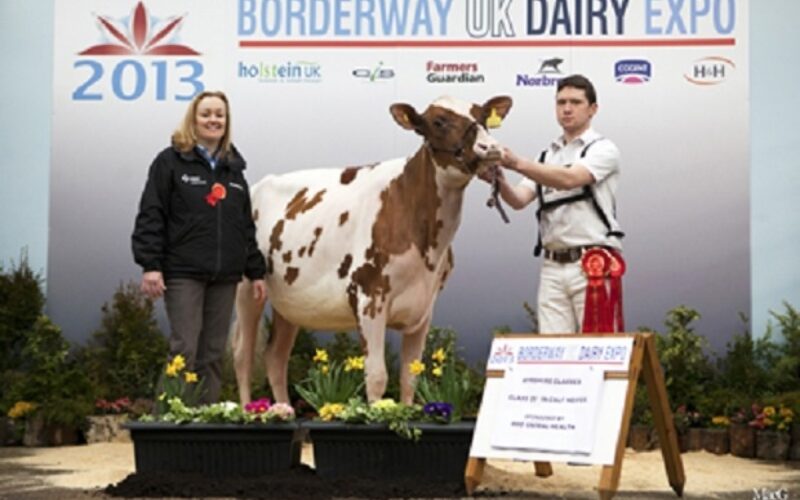 Syke Glencairn Lolita - photo courtesy of Harrison & Hetherington