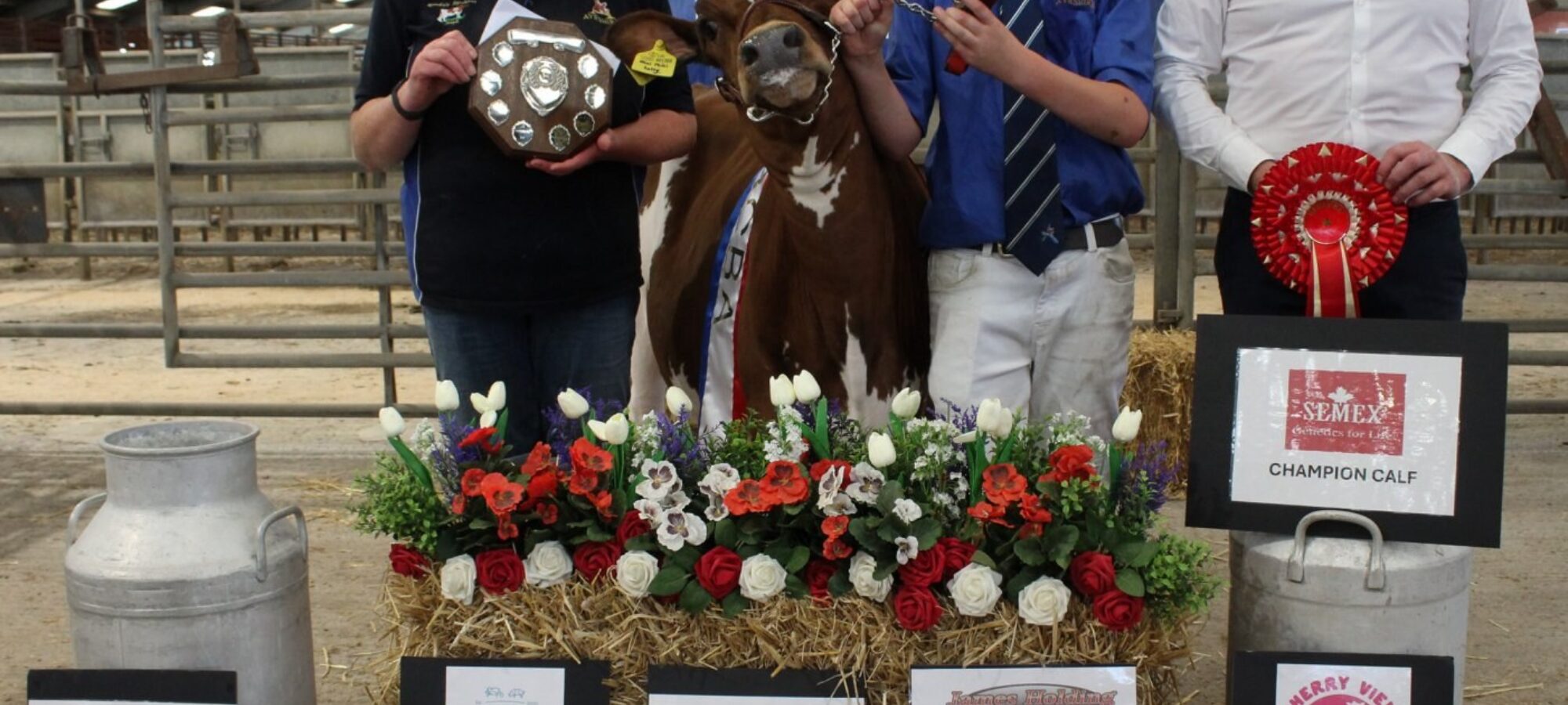 Champion Calf - Rosegill Hocus Pocus Mini Mini Lotty 