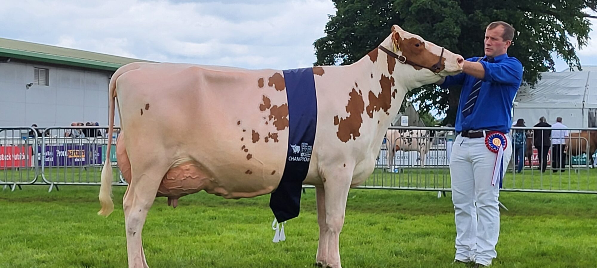 Champion - Cuthill Towers Religious Bunty