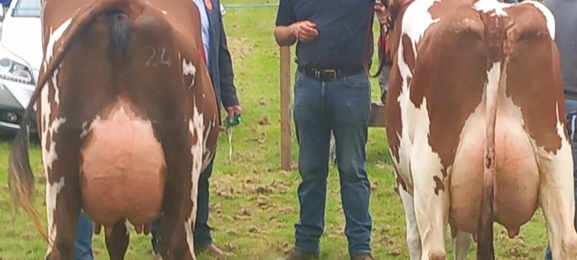 Champion (L) & Reserve (R)