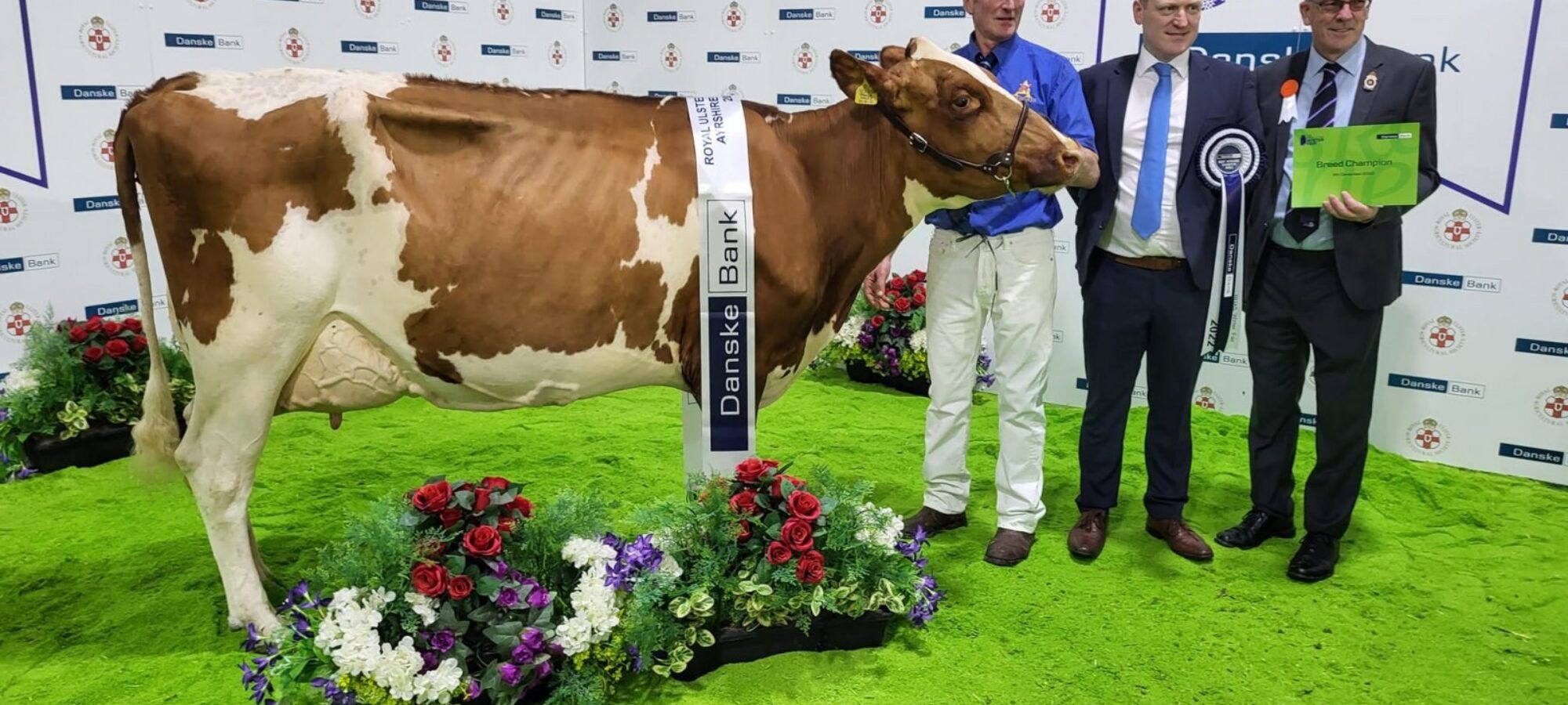 Champion - Gwynnog Triclo Nancy 3