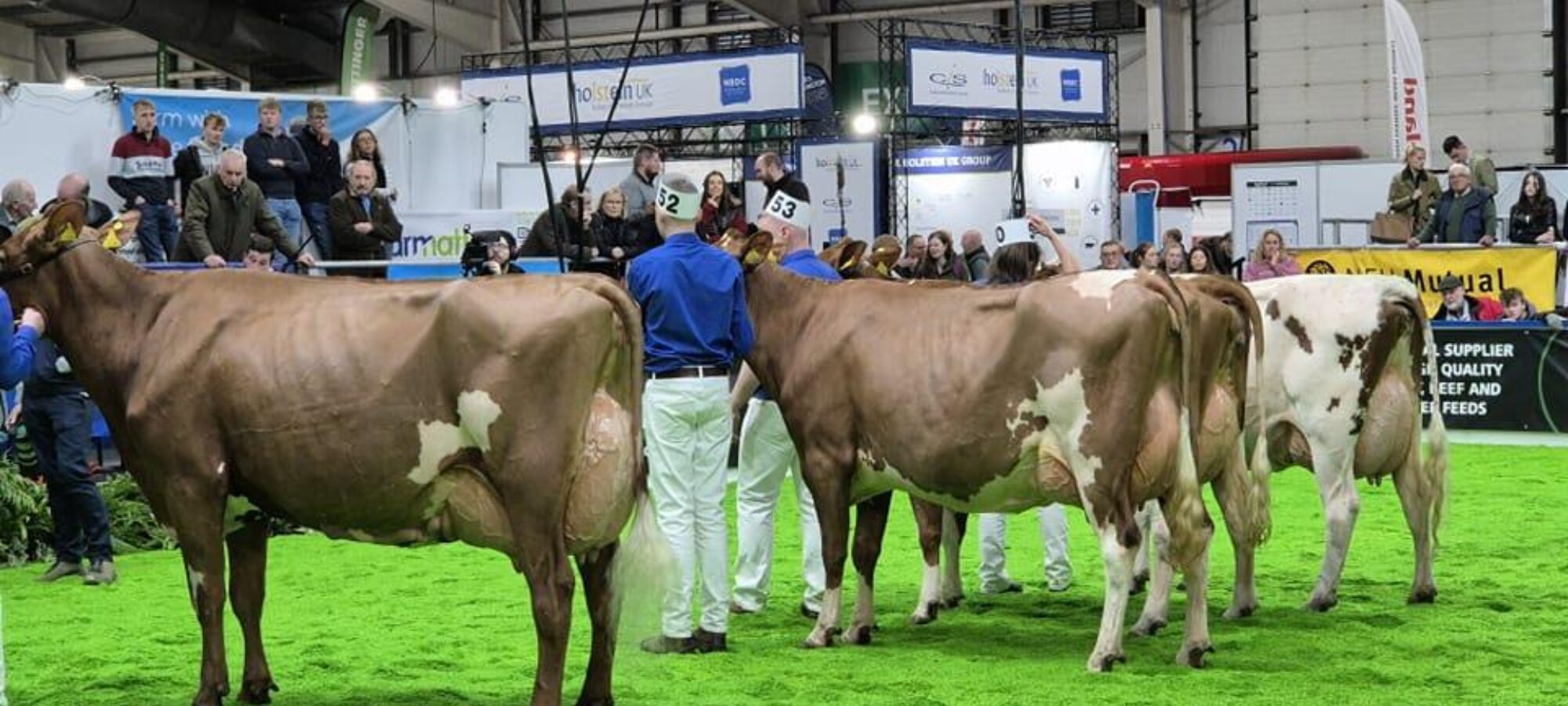 Allstar Ringer Joybell