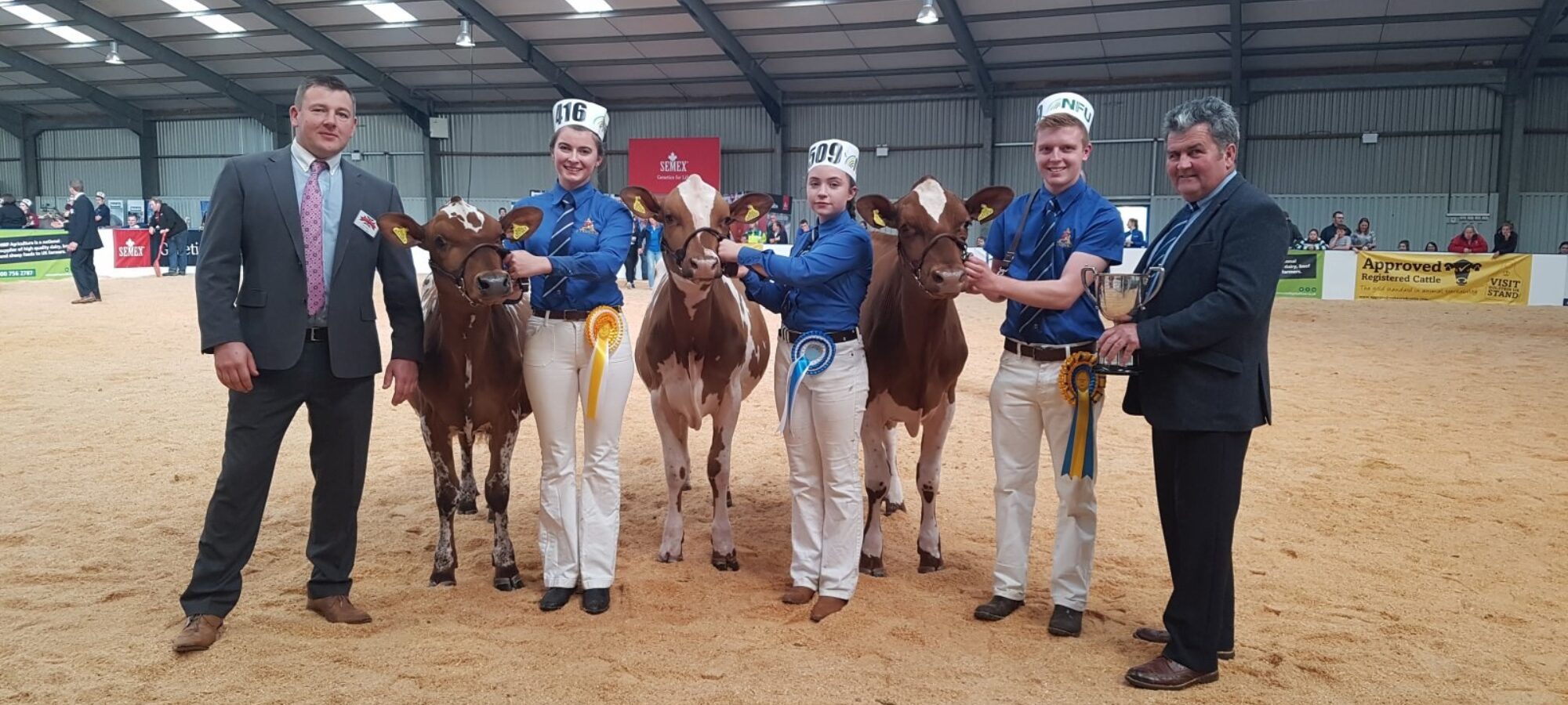 Calf Show - L to R Judge Ian Collins, Beth Granville, Millie Tomlinson, Ifan Wilson, President Keith Davidson
