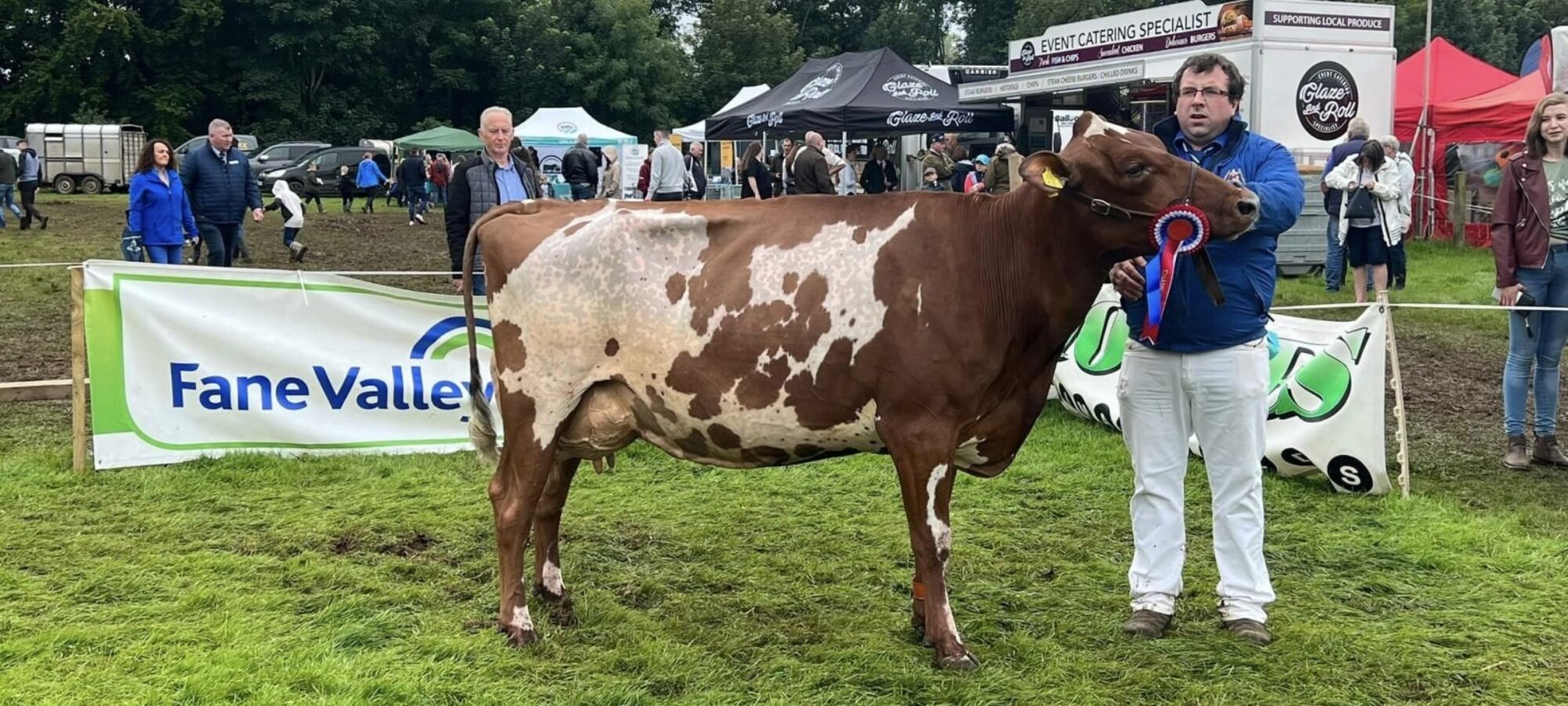 Champion - Beechmount Russet 9