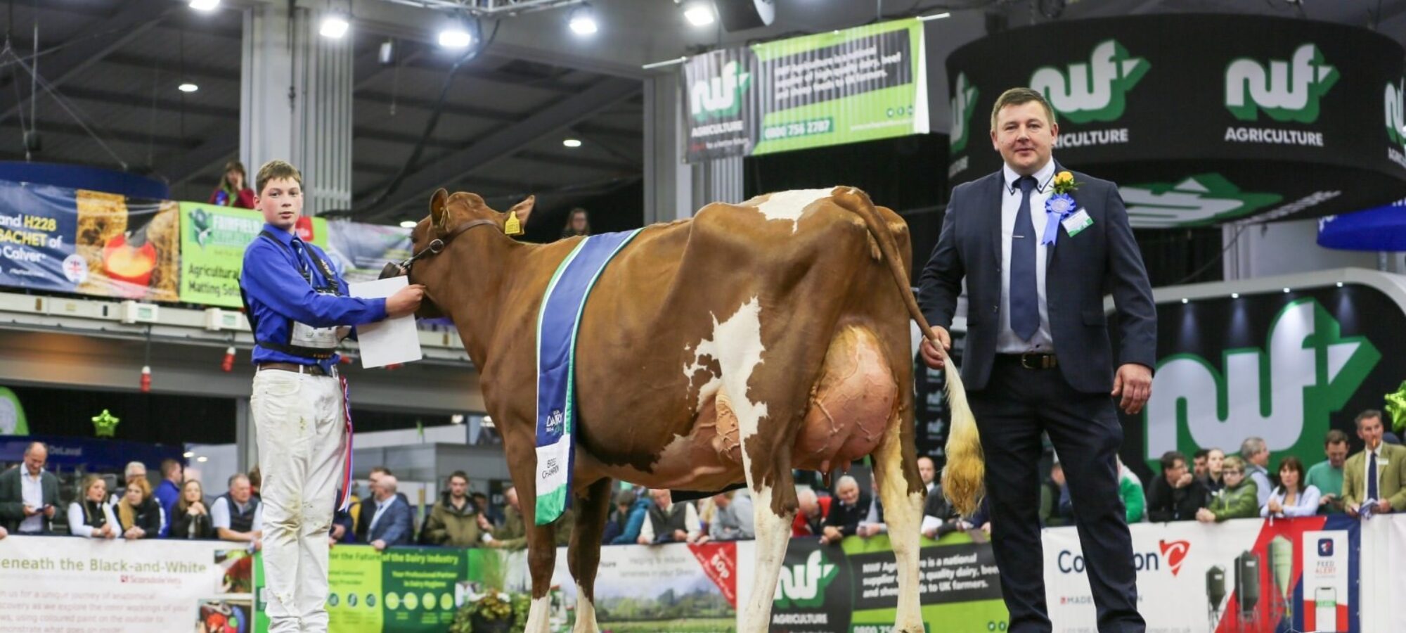 Grand Champion - Swaites Lois 8 with Jay Adamson on the strap and Judge Ian Collins