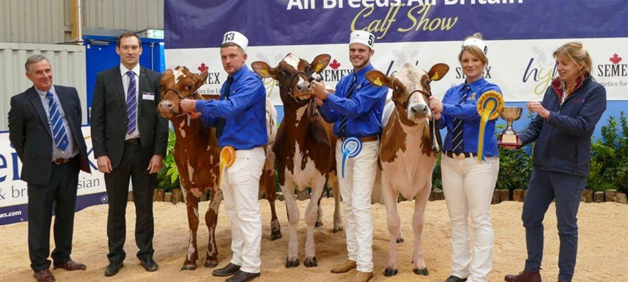 L to R, Marleycote Sea Lily 29, Denman's Supreme Lizzie, Sandyford Supreme Lily