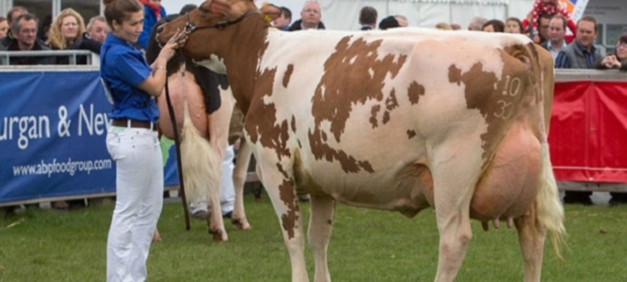 Champion - Marleycote Sea Lily 14 EX 93 (Des Prairies Potter) - M/s McLean