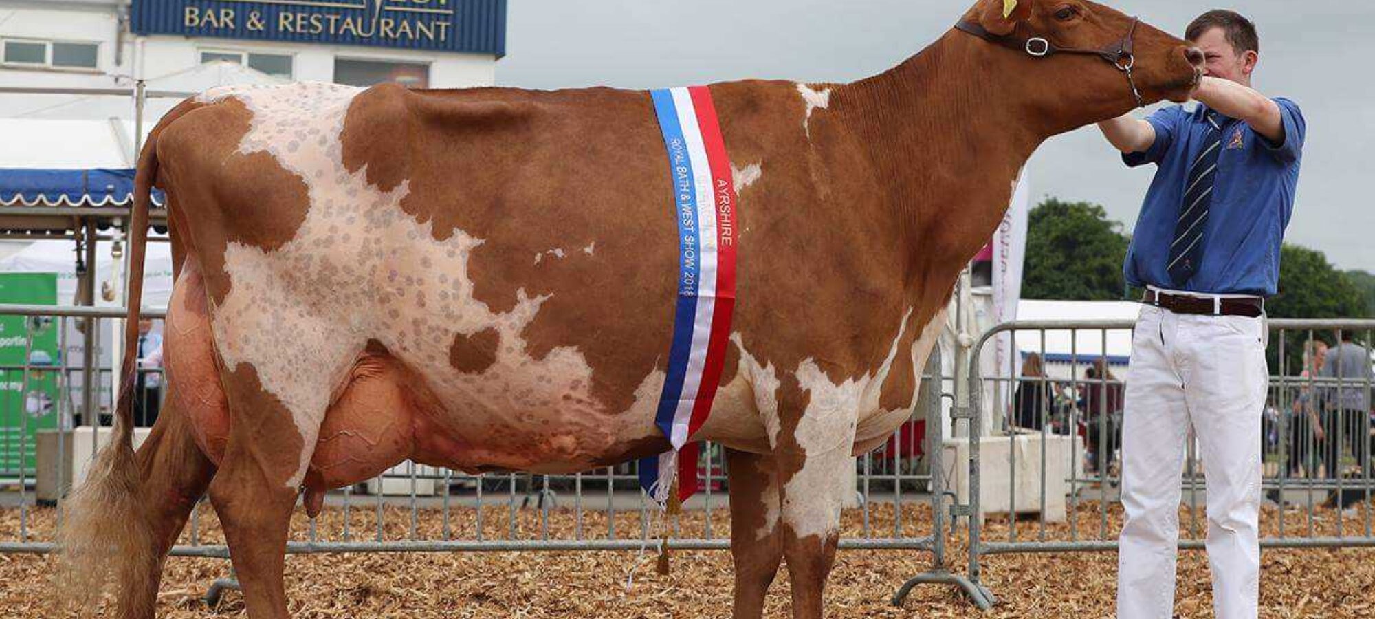 Interbreed Champion at the Bath and West