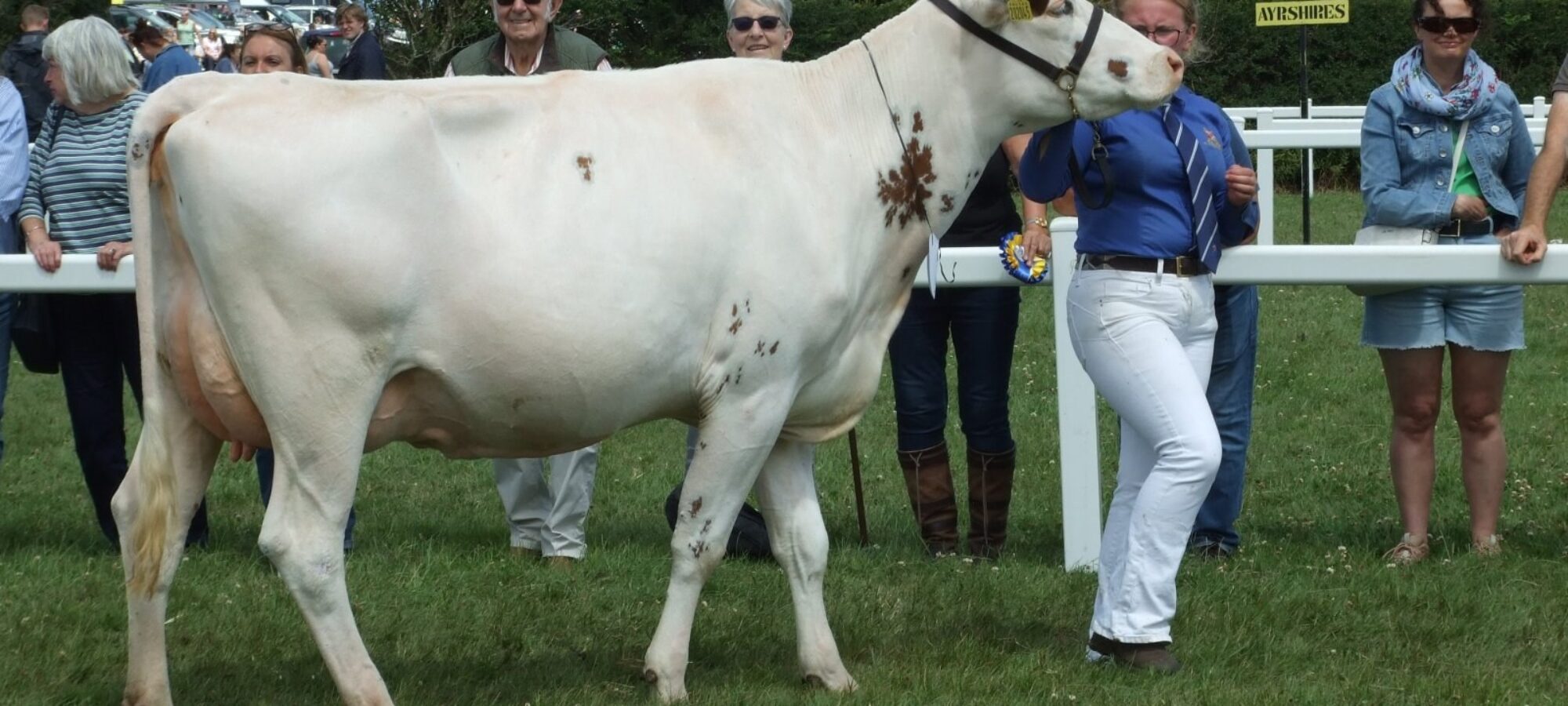 Rosehill Pink Indiana