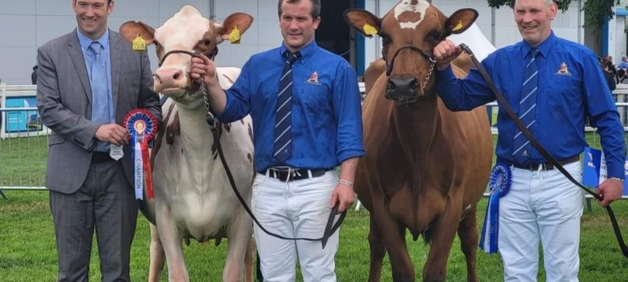 Breed Champion and Reserve with Judge Iwan Thomas