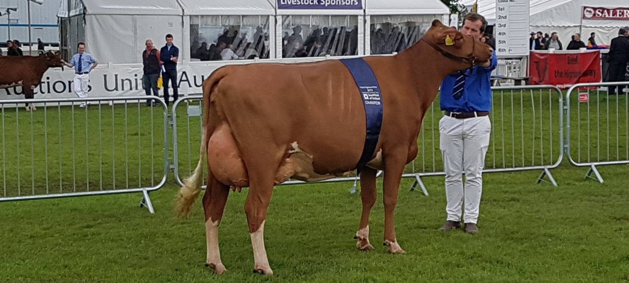 Breed Champion - Cuthill Towers Highland Bloom