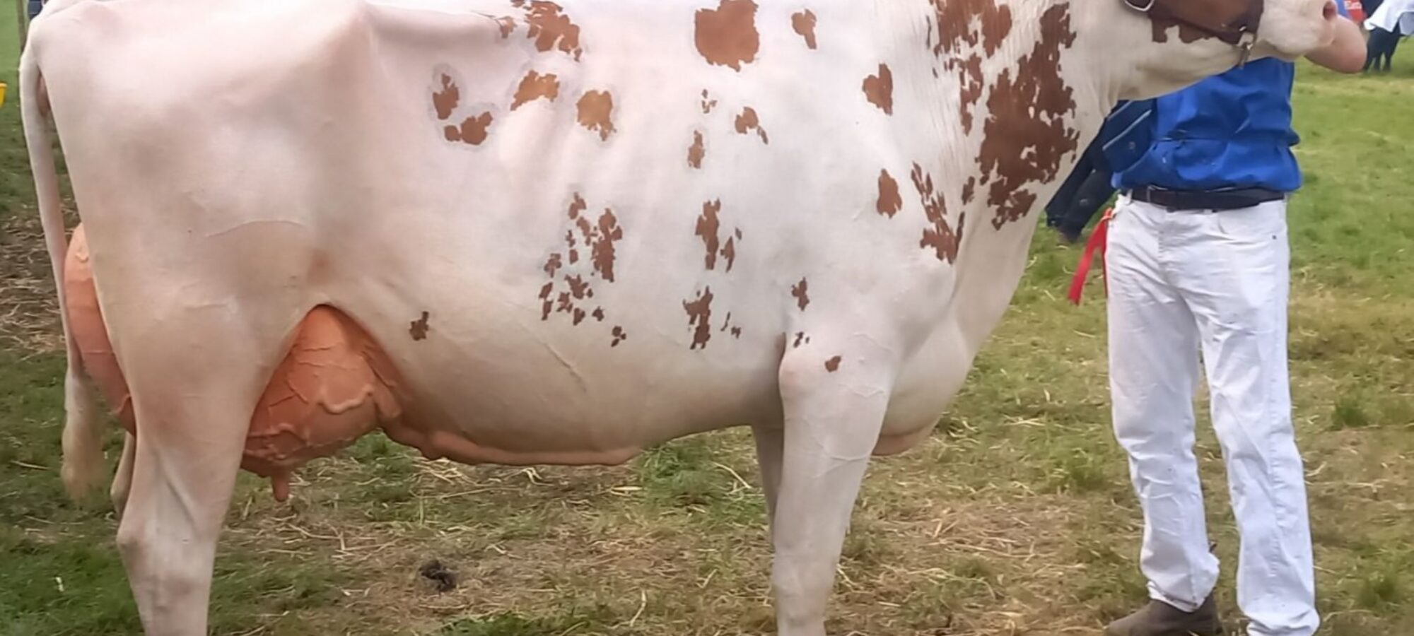 Morwick Peggy 126