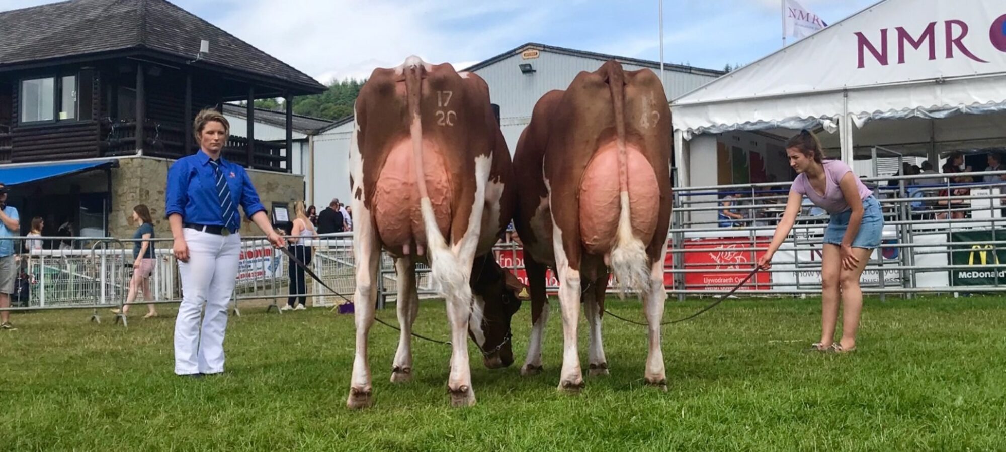 Allstar Triclo Joybell & Sandyford Provider Fragrance