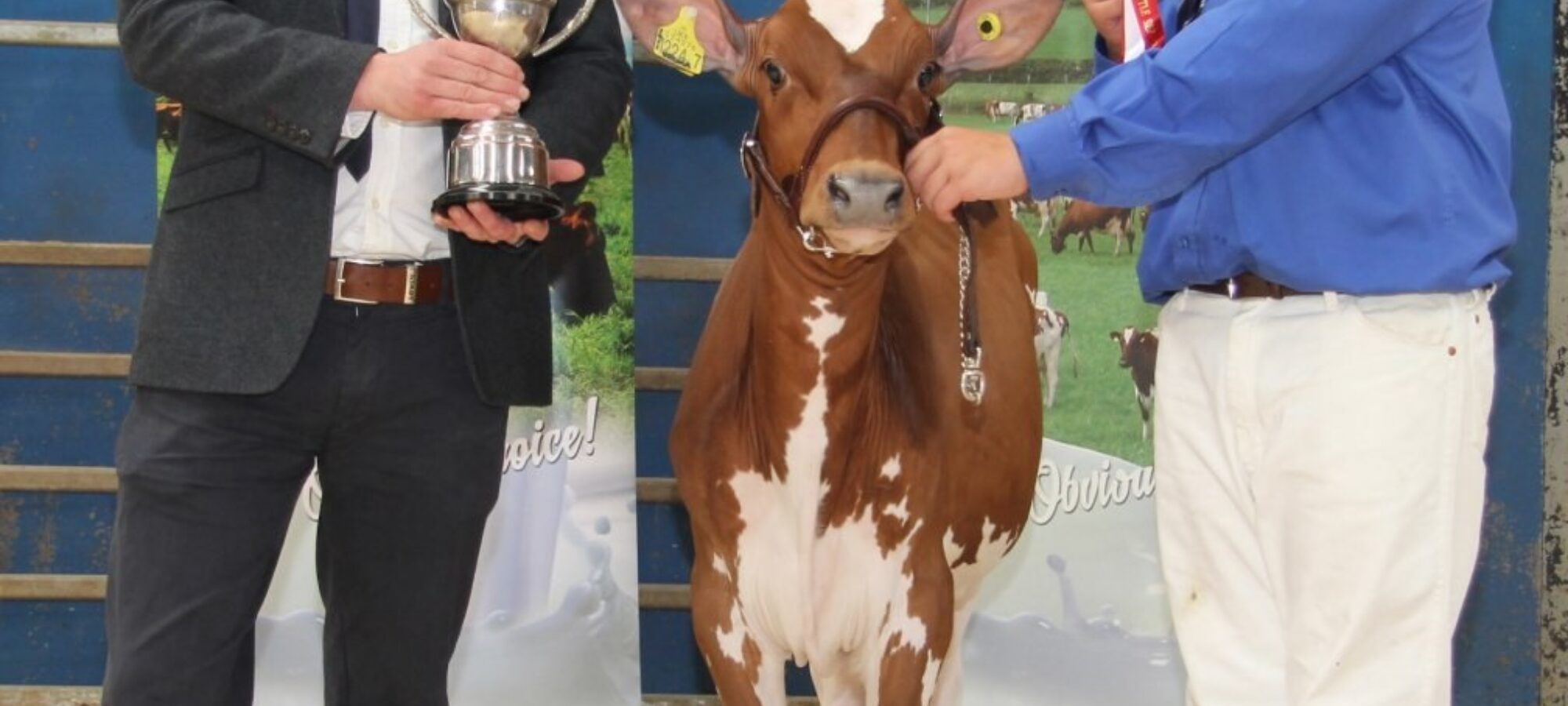 Jack King - Intermediate and overall champion handler
