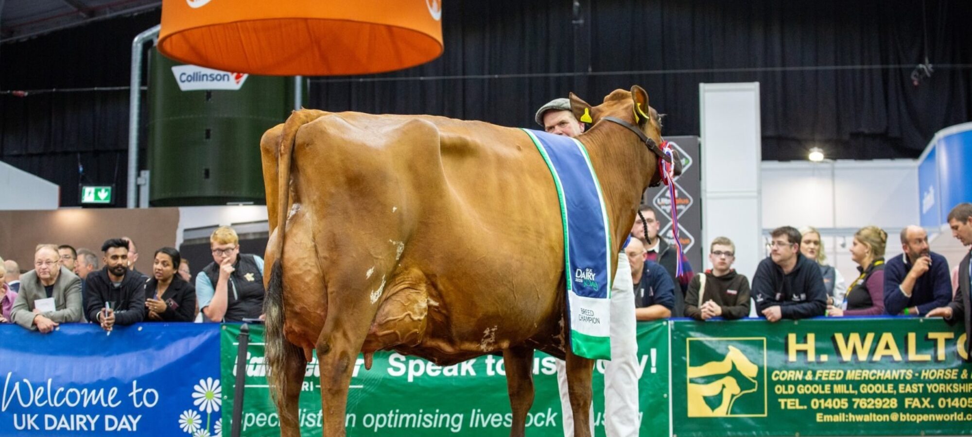 NATIONAL AYRSHIRE SHOW CHAMPION 2025