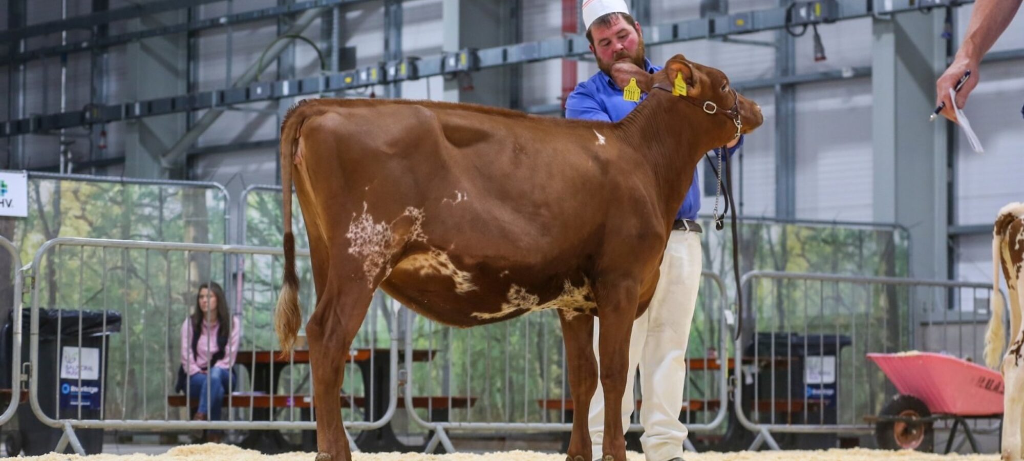 Priestland Autograph Clover