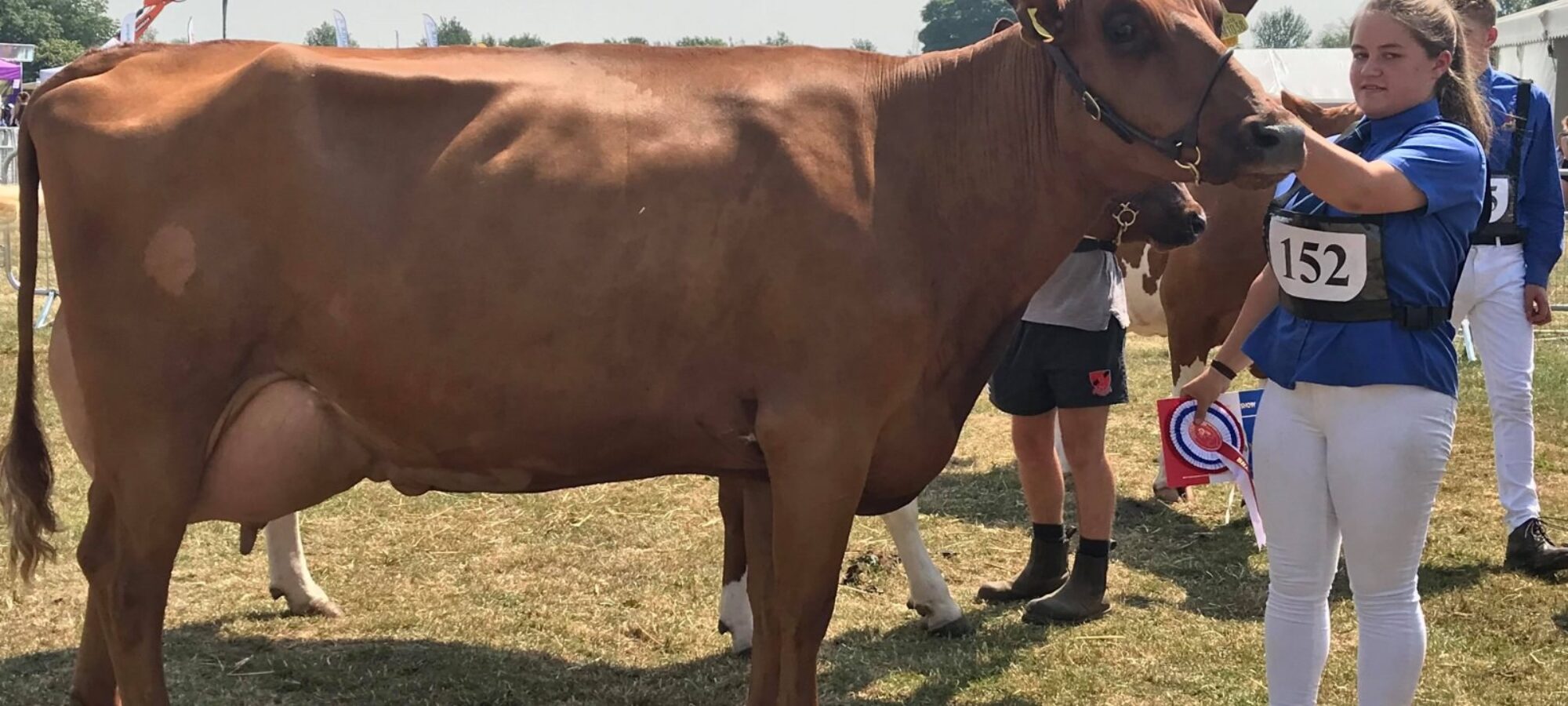 Breed Champion - Pylon Brazil Eurotrack Photo by Debbie Walters