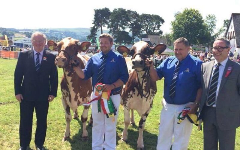 P & S Williams with their Interbreed Pair Winners