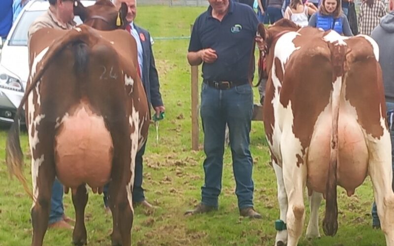 Champion (L) & Reserve (R)