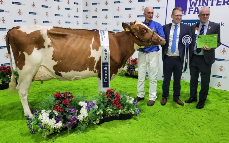 Champion - Gwynnog Triclo Nancy 3