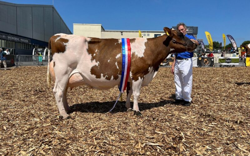 Greenway Ross Great Jubilee
