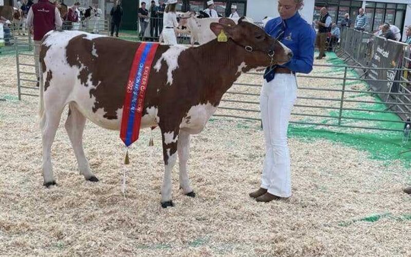 Greenway Platinum Jubilee