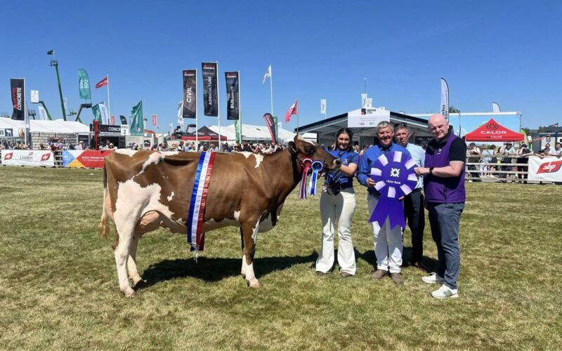 Carnell Barby Doll 13