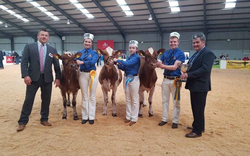 Calf Show - L to R Judge Ian Collins, Beth Granville, Millie Tomlinson, Ifan Wilson, President Keith Davidson