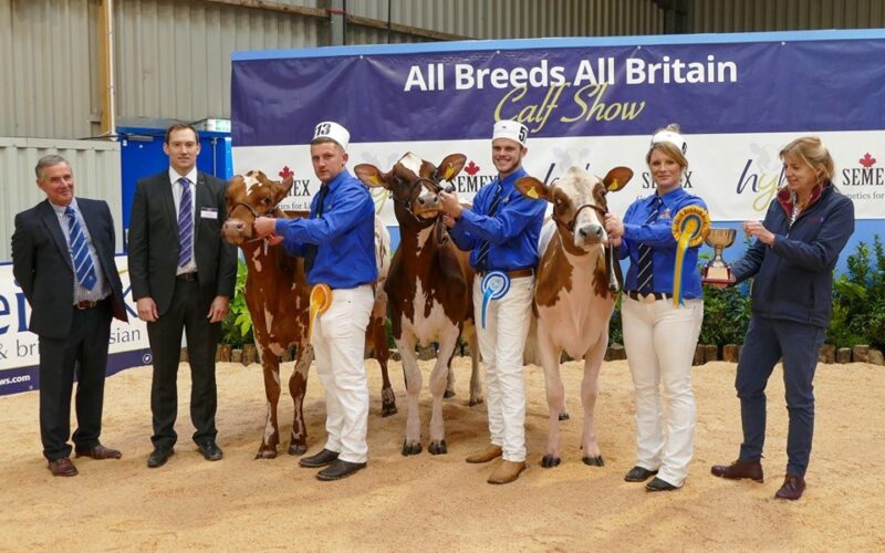 L to R, Marleycote Sea Lily 29, Denman's Supreme Lizzie, Sandyford Supreme Lily
