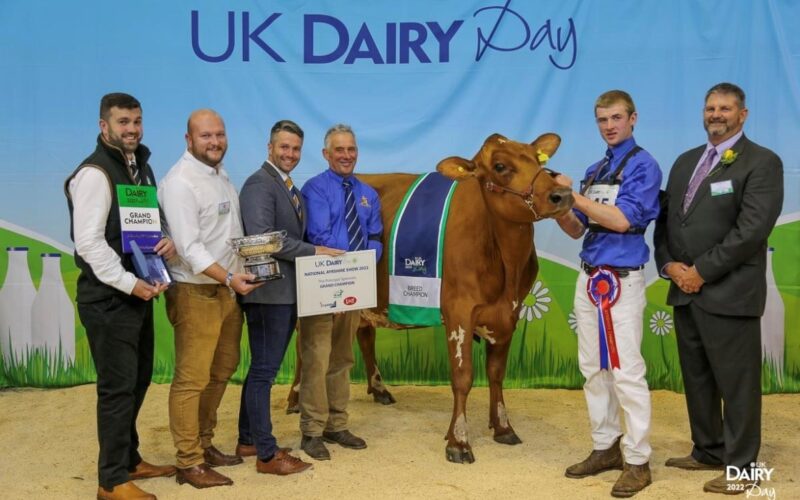 Breed Champion Morwick Reality Emerald, M&A Howie