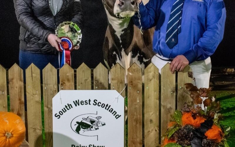 High Mark Obligation Melanie from David & John Watson