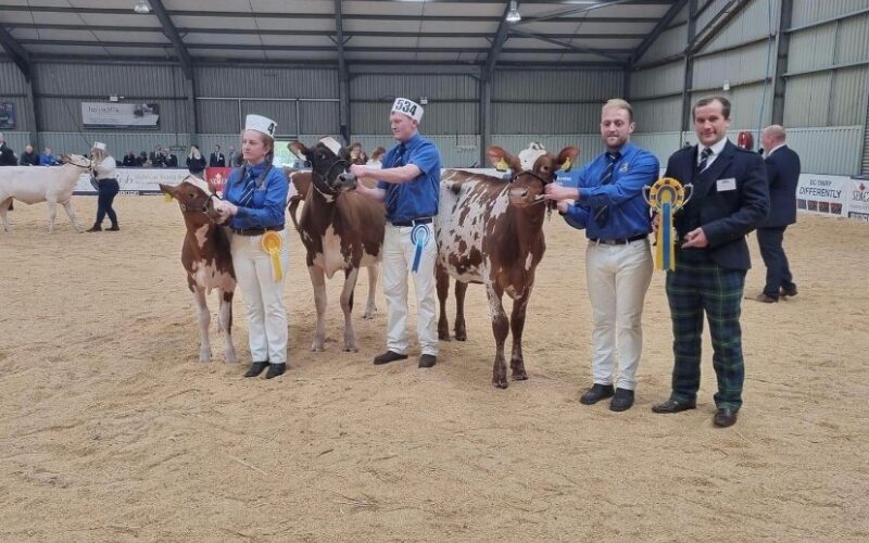 Champion Line Up - Image courtesy of Amy Armstrong