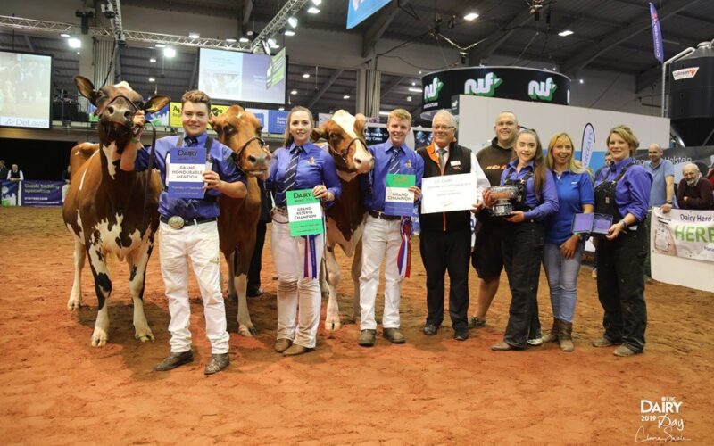 Champion Line Up