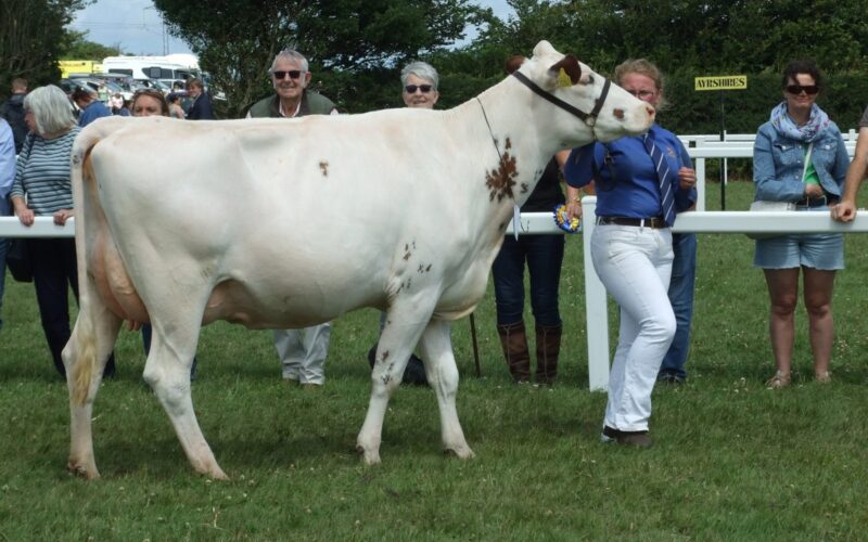 Rosehill Pink Indiana