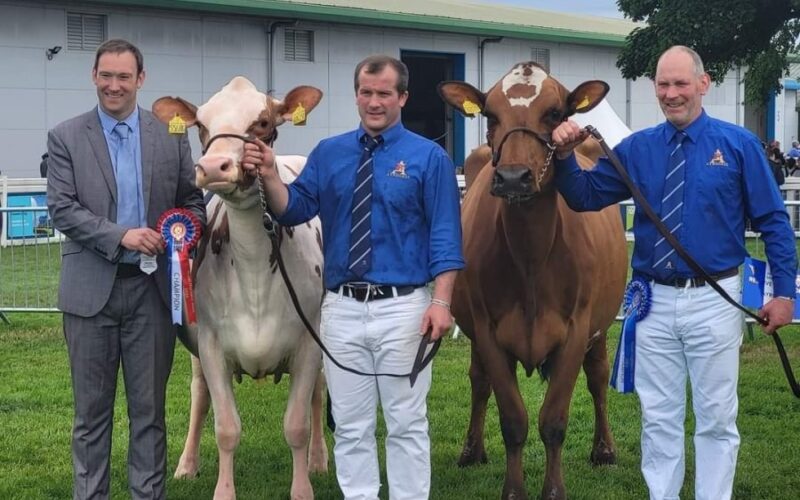 Breed Champion and Reserve with Judge Iwan Thomas