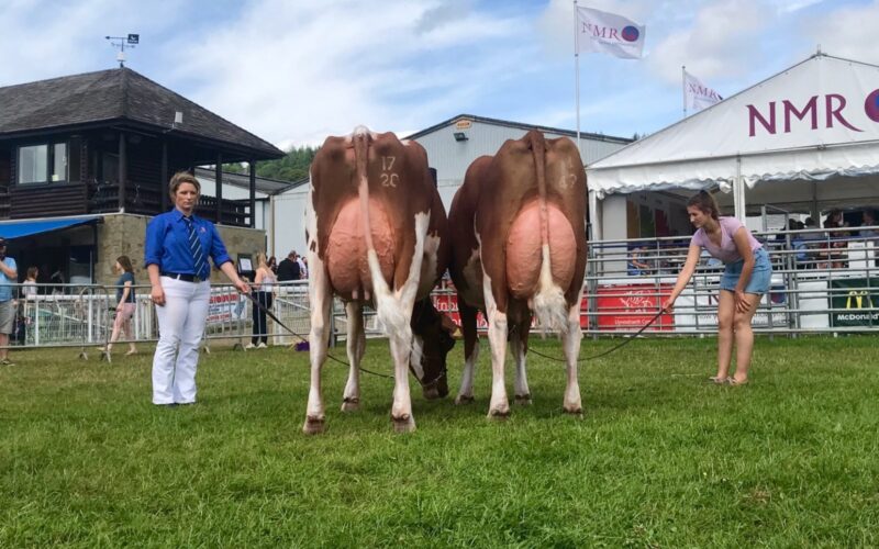 Allstar Triclo Joybell & Sandyford Provider Fragrance