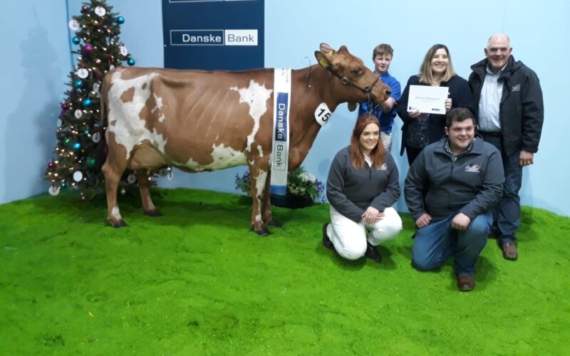 Breed Champion, SANDYFORD LUCKY HONEY