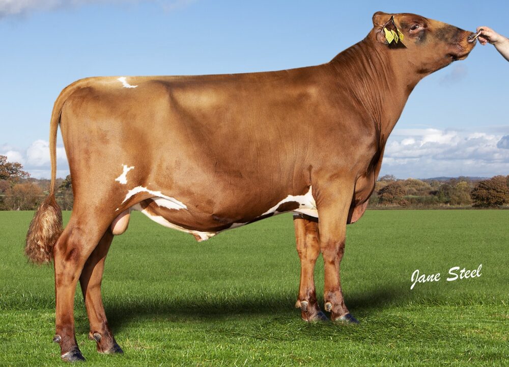 Swaites Dermott
