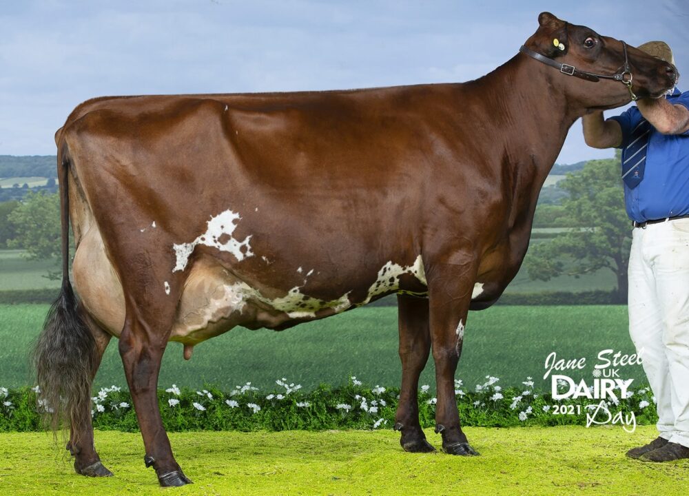 Maternal Sister - Willowfields Winnie 3
