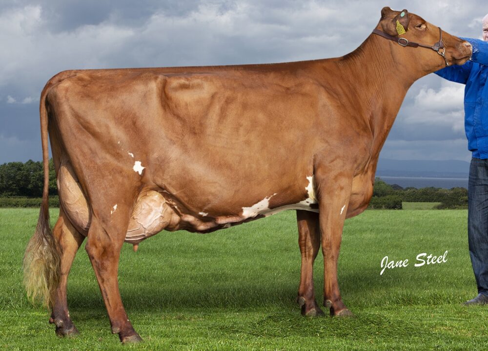 Dam Cochranes Revolution Present