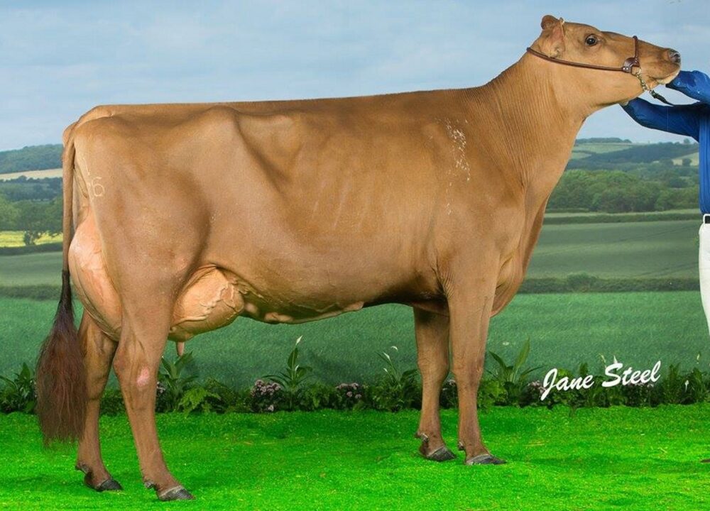 Daughter - Changue Martha 49