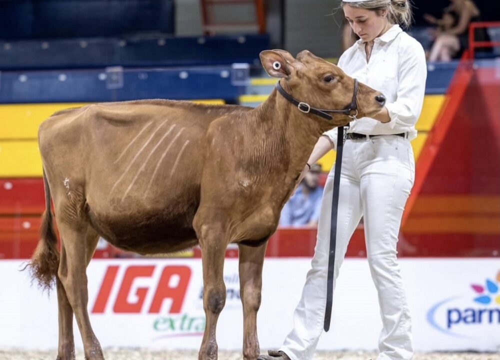 Daughter - Margot Crispers