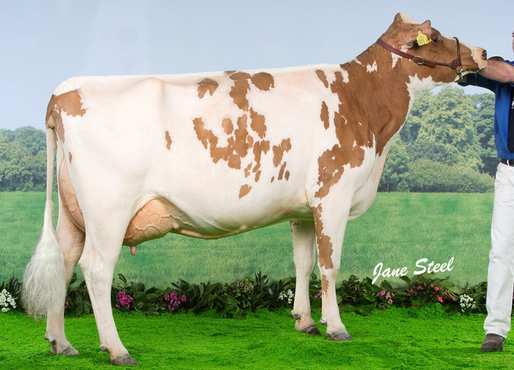 Daughter - Ardmore Dorothy 79
