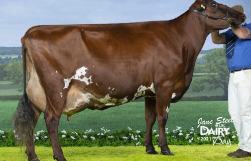 Maternal Sister - Willowfields Winnie 3